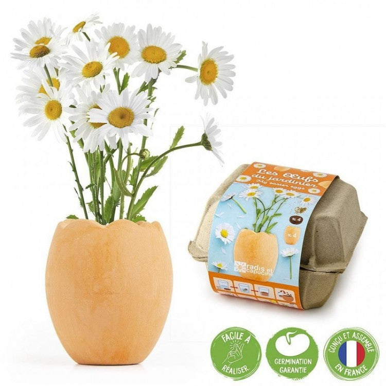 Kit semis - Les œufs du jardinier