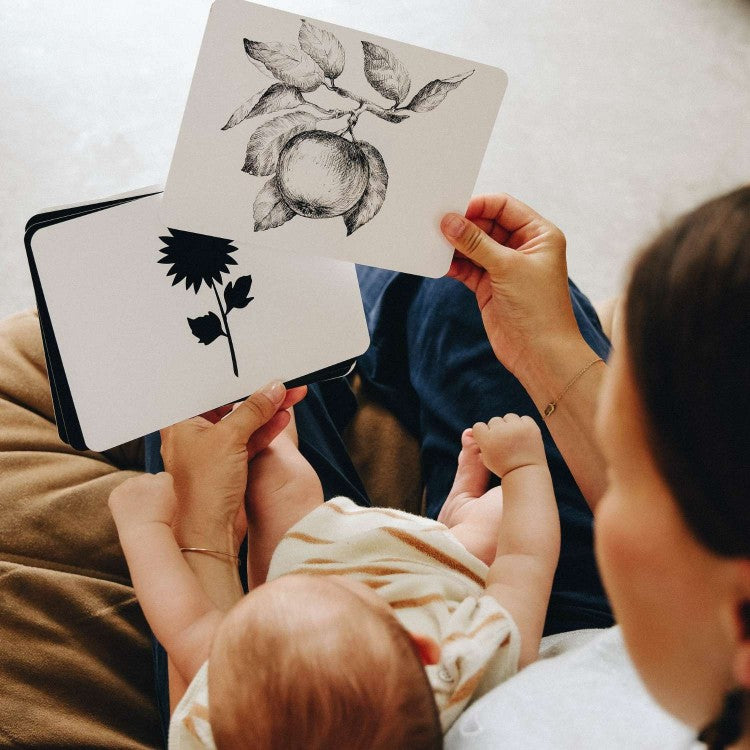 Le Mondy des P'tits artistes - cartes à contrastes