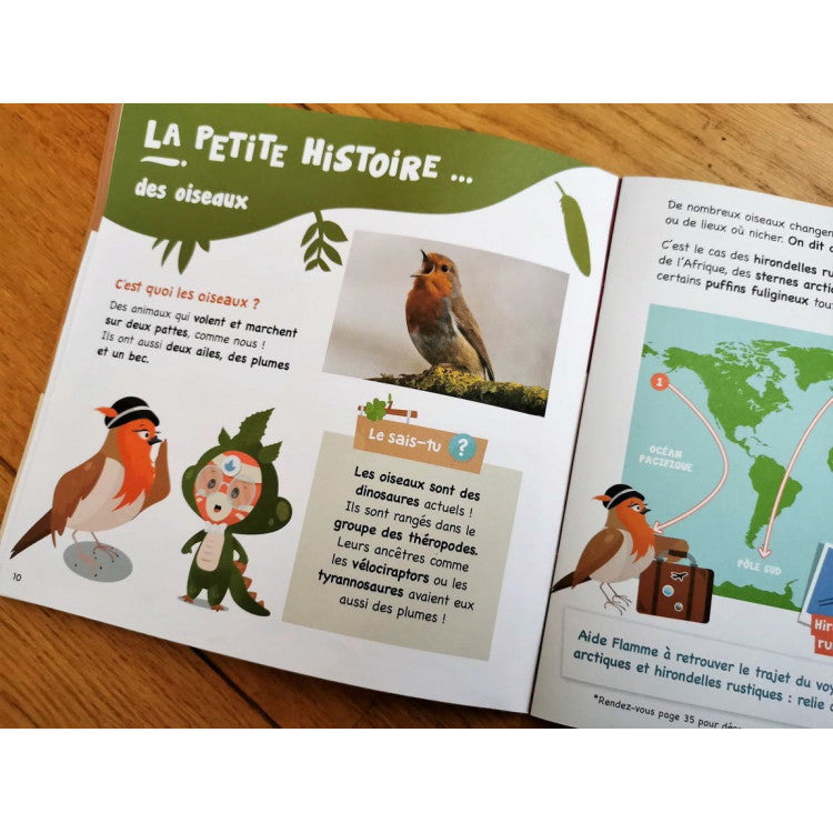 Fabrique ton nichoir à oiseaux