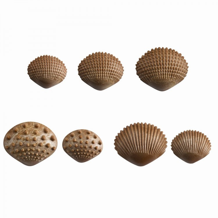 Coquillages tactiles