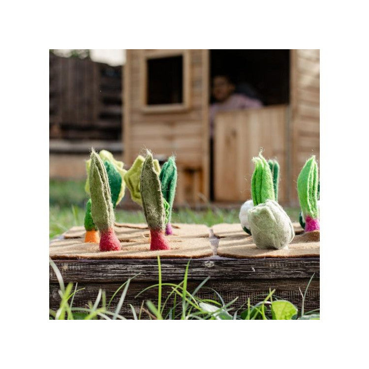 Plateau potager et 16 légumes en laine feutrée