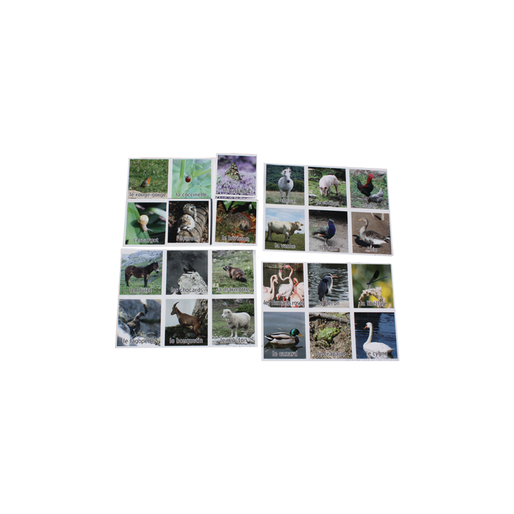 Loto Nature - Les animaux