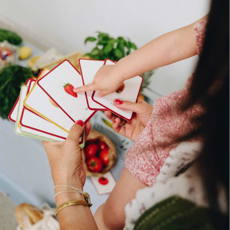 Le Giga Mondy, 600 cartes de nomenclature Montessori