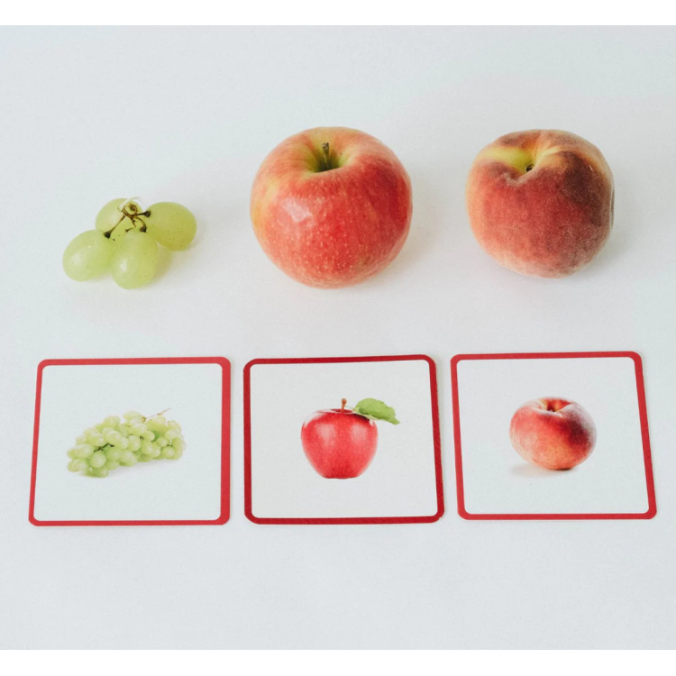 Le Mini-Mondy Fruits & Légumes - Cartes Montessori