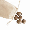 Coquillages tactiles