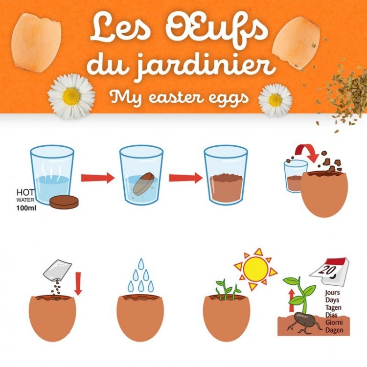 Kit semis - Les œufs du jardinier
