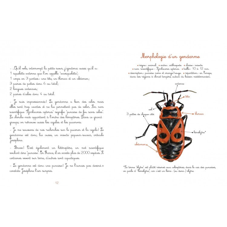 Le jardin de Juliette et Joséphine - Le Gendarme
