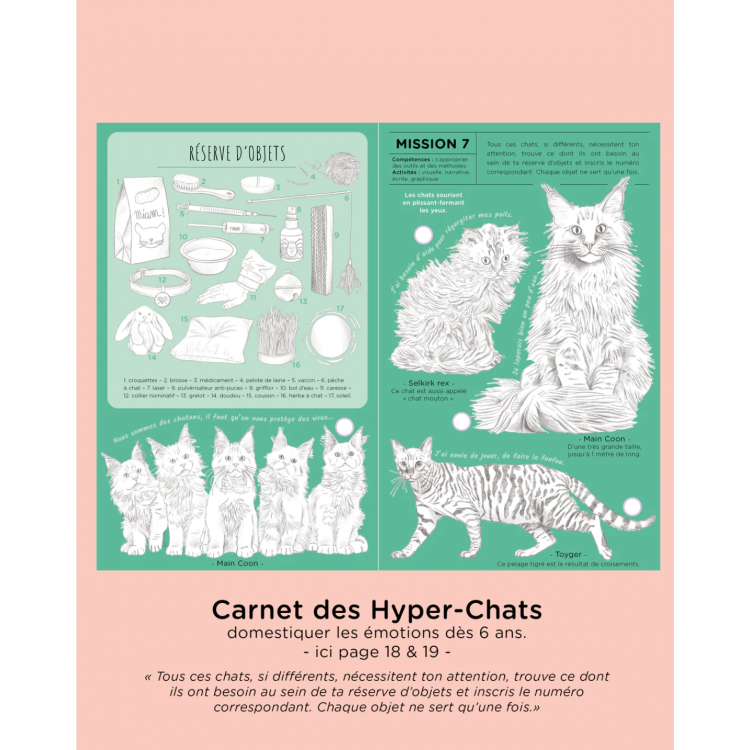 Cahier d'activités - Les Hyper-Chats