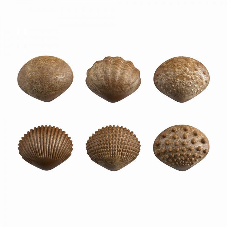 Coquillages tactiles