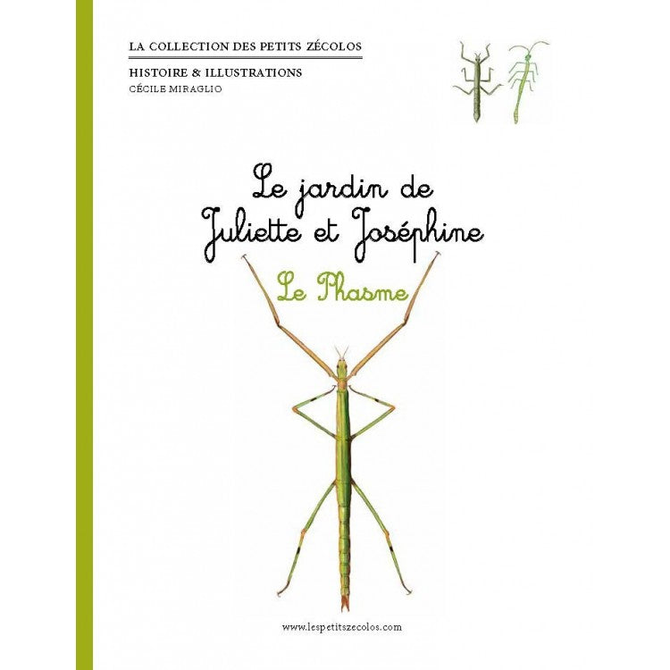 Le jardin de Juliette et Joséphine - Le Phasme