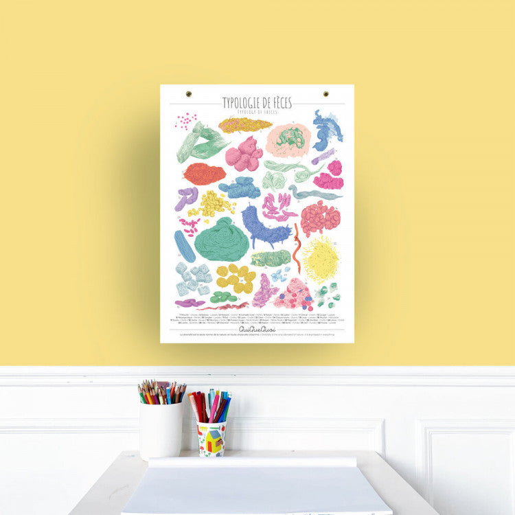 Affiche QuiQueQuoi "Typologie de fèces" - 30x40 cm