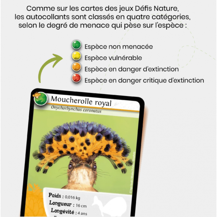 Album et autocollants Défis Nature - Animaux du monde
