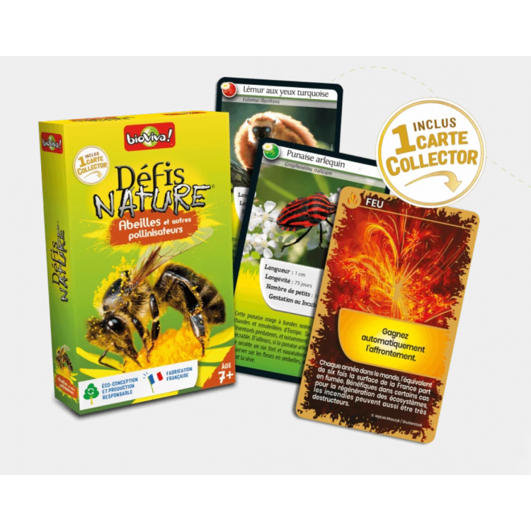 Défis Nature - Abeilles et pollinisateurs
