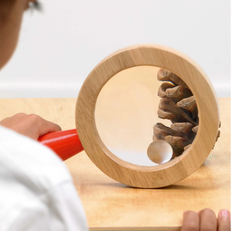 Grosse loupe en bois