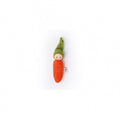 Hochet éponge bio - Carotte