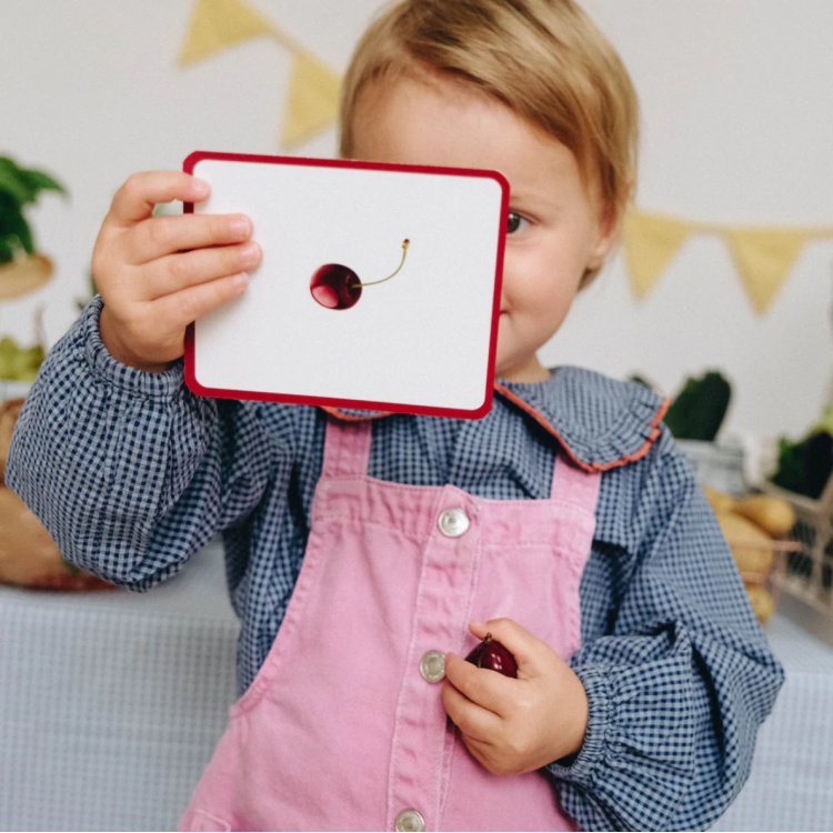 Le Giga Mondy, 600 cartes de nomenclature Montessori