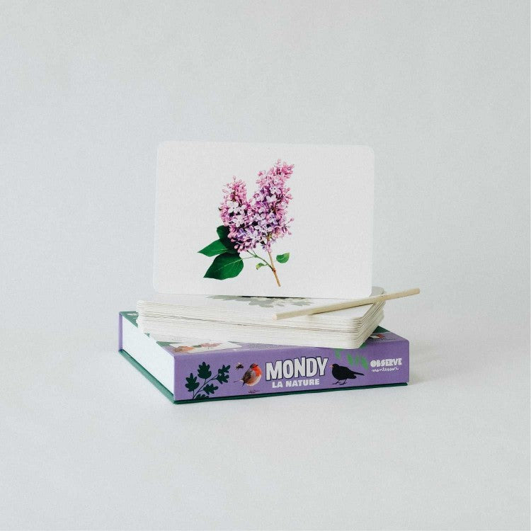 Le Mondy des Curieux - Cartes Montessori