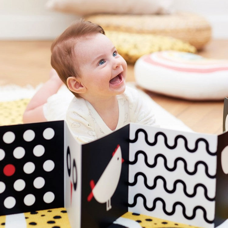 Cartes à contraste - Pack bébé 0 à 6 mois