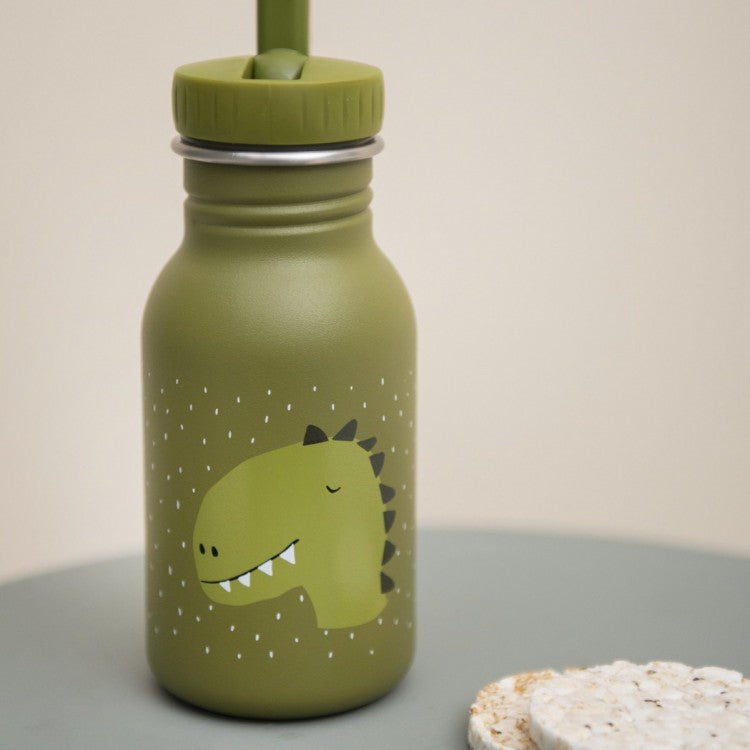 Gourde Dino (350 ml)