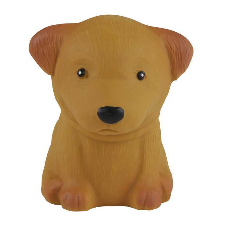 Jouet de bain - Golden Retriever