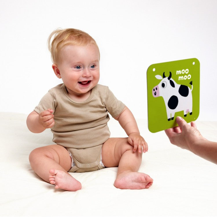 Cartes à contraste bébé - 6 à 9 mois et plus