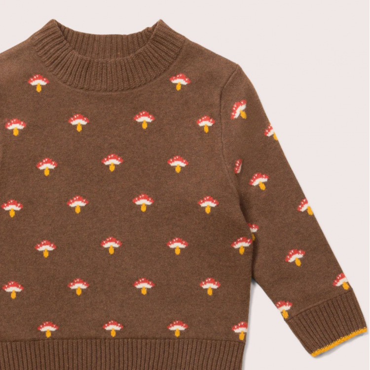 Pull enfant en coton bio - motif Champignons