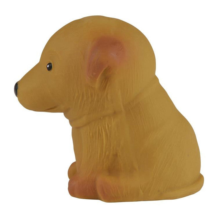 Jouet de bain - Golden Retriever