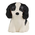 Jouet de bain - Cavalier King Charles