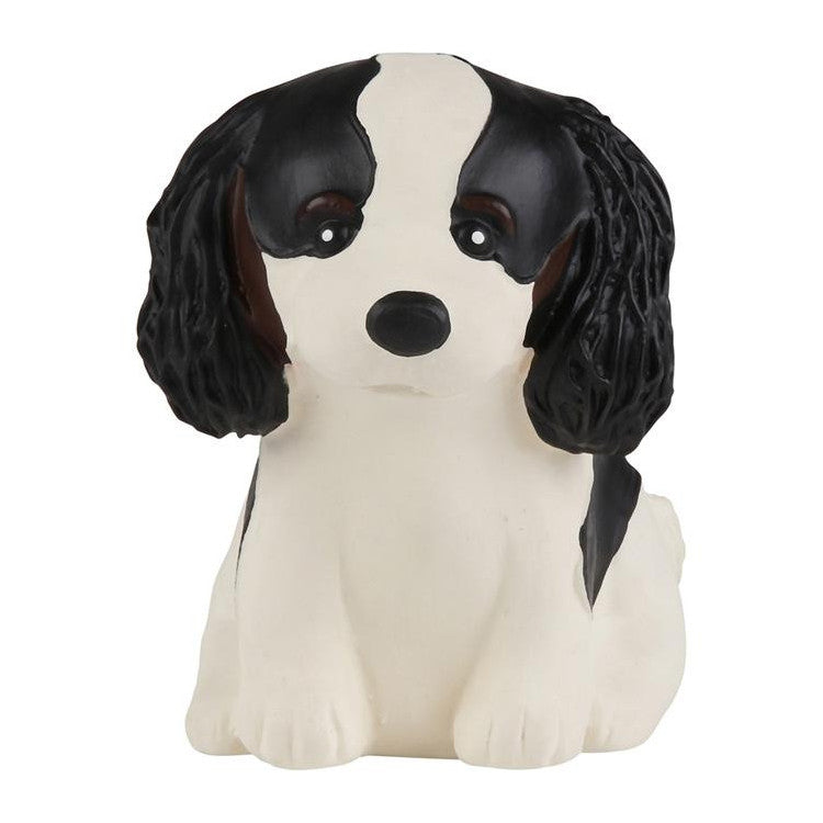 Jouet de bain - Cavalier King Charles