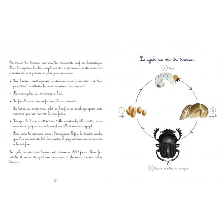 Le jardin de Juliette et Joséphine - Le Bousier