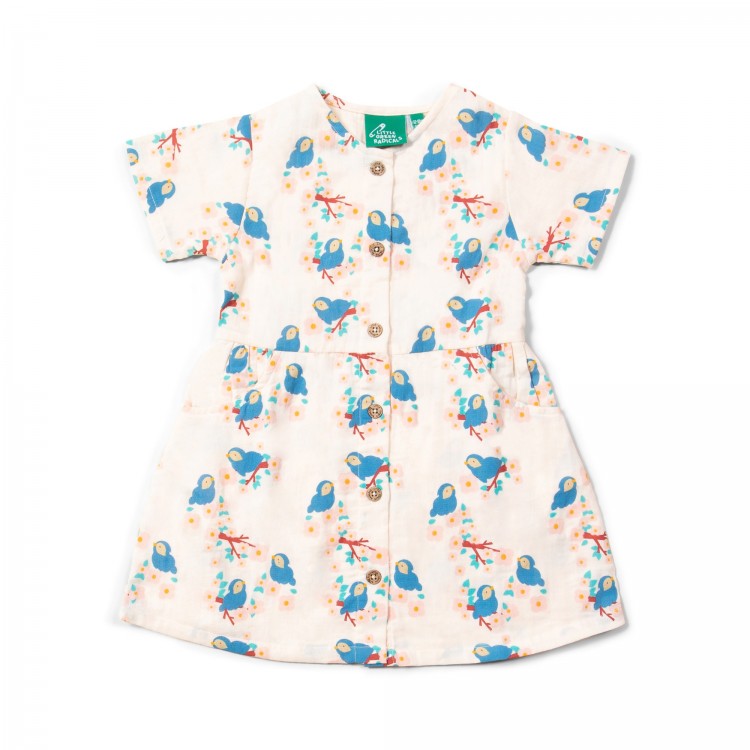 Robe boutonnée à manches courtes - Bluebirds