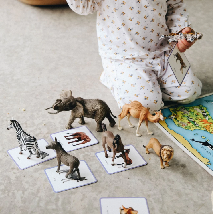 Le Mini-Mondy Animaux - Cartes de nomenclature Montessori