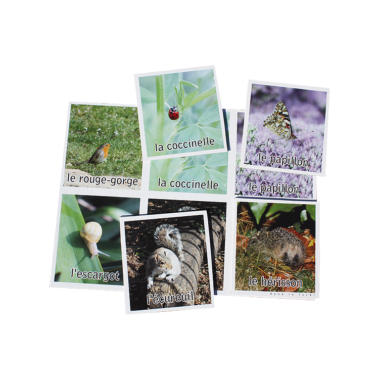 Loto Nature - Les animaux