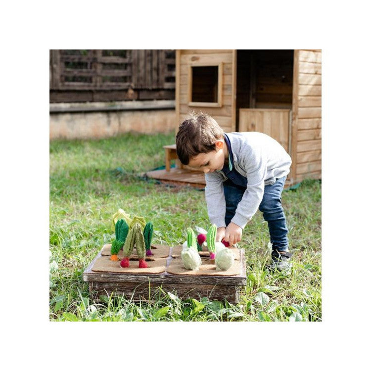 Plateau potager et 16 légumes en laine feutrée