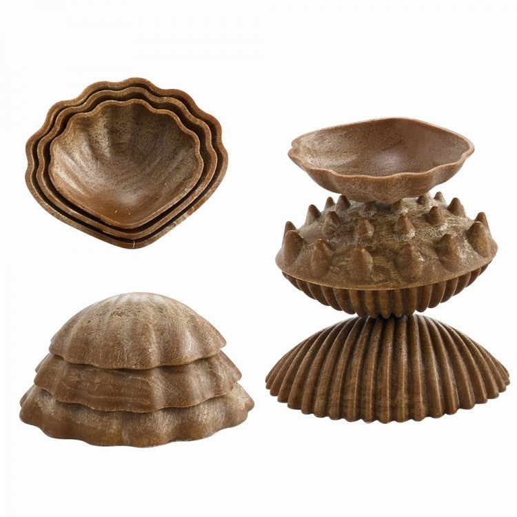 Coquillages tactiles