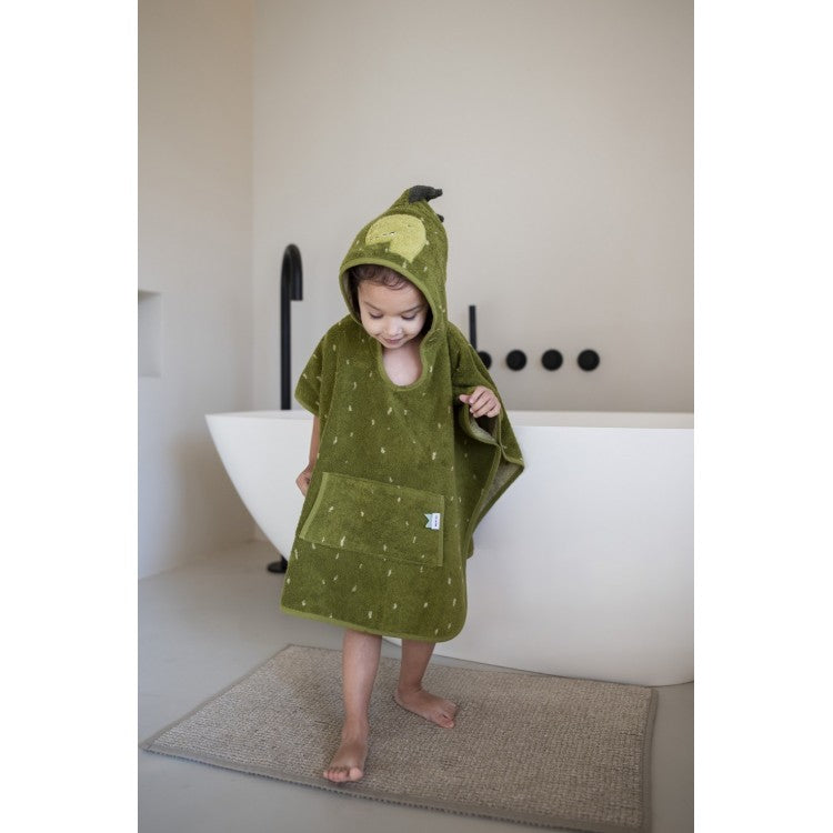 Poncho Dino
