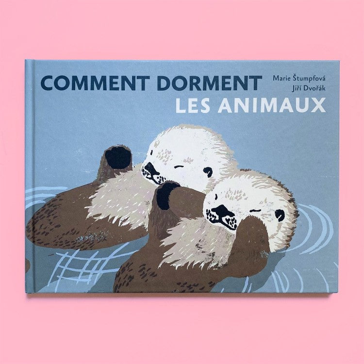 Comment dorment les animaux