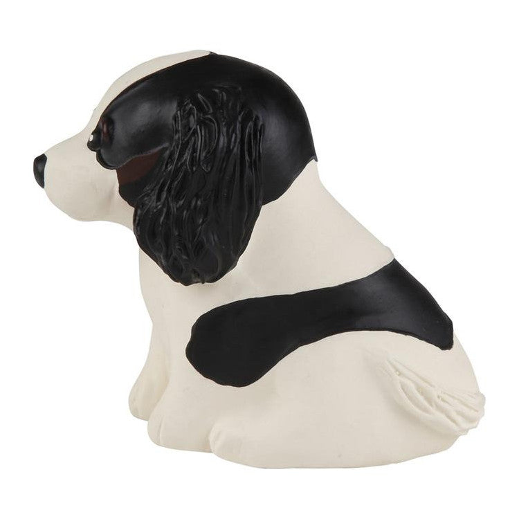 Jouet de bain - Cavalier King Charles