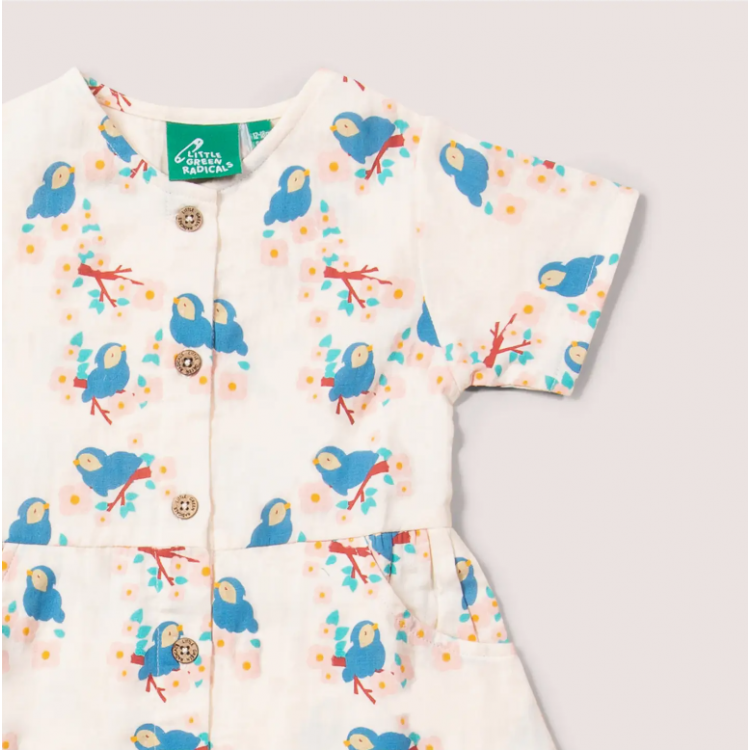Robe boutonnée à manches courtes - Bluebirds