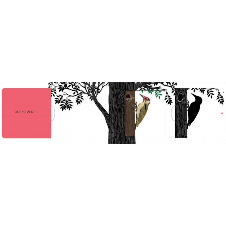 Imagier Les belles couleurs - Forêt