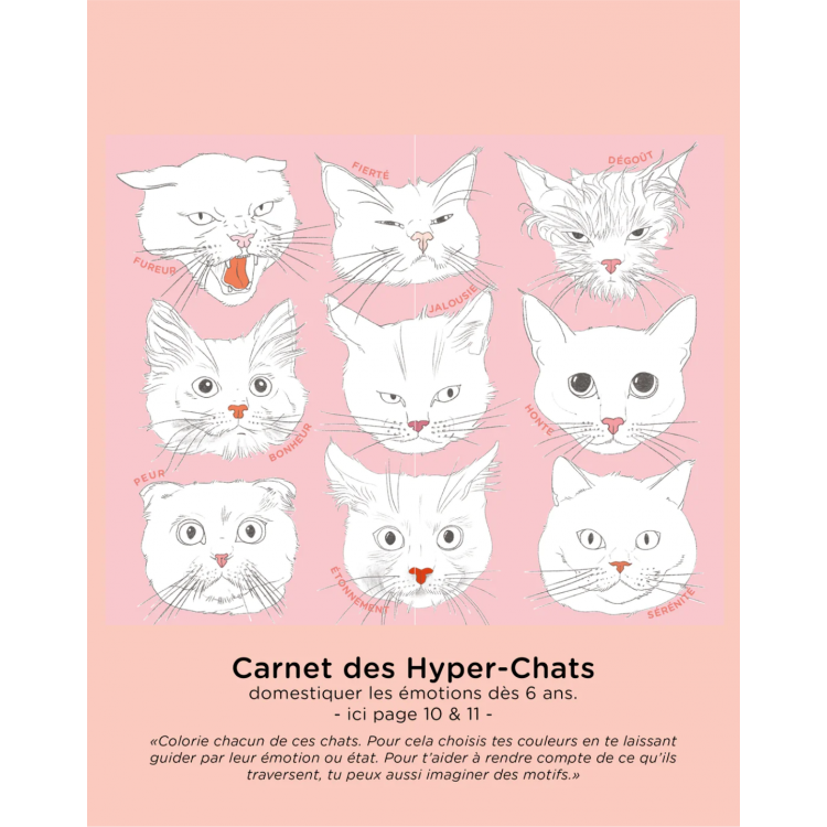Cahier d'activités - Les Hyper-Chats