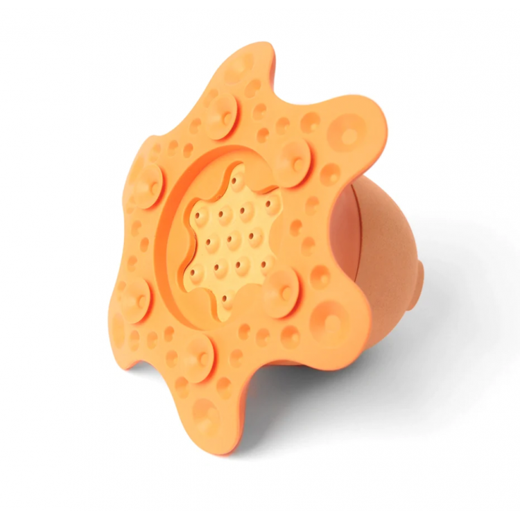 Jeu de bain éco-responsable - Pieuvre TAKO